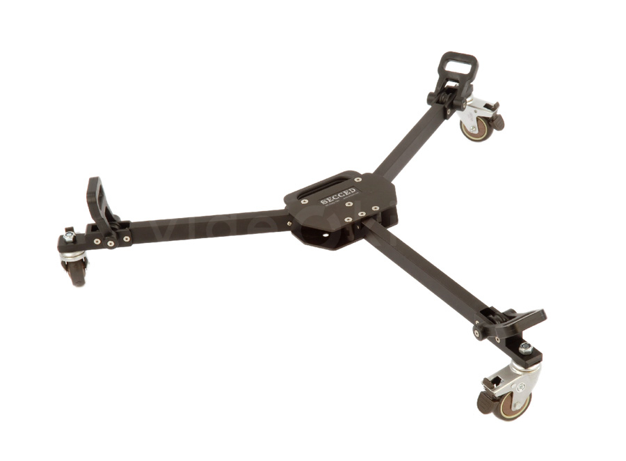 secced_dolly-75h_01_big