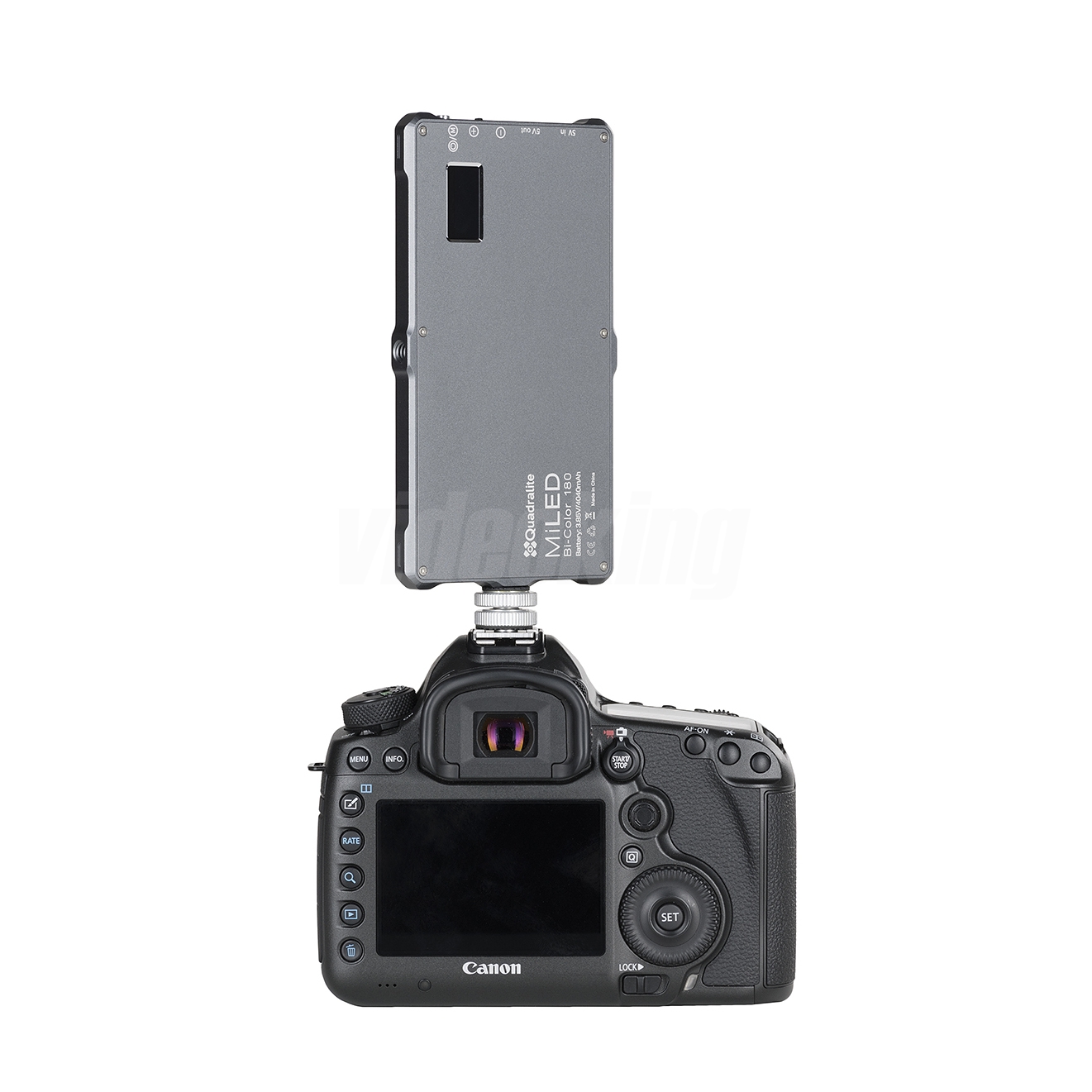 miled-bicolor-180-007