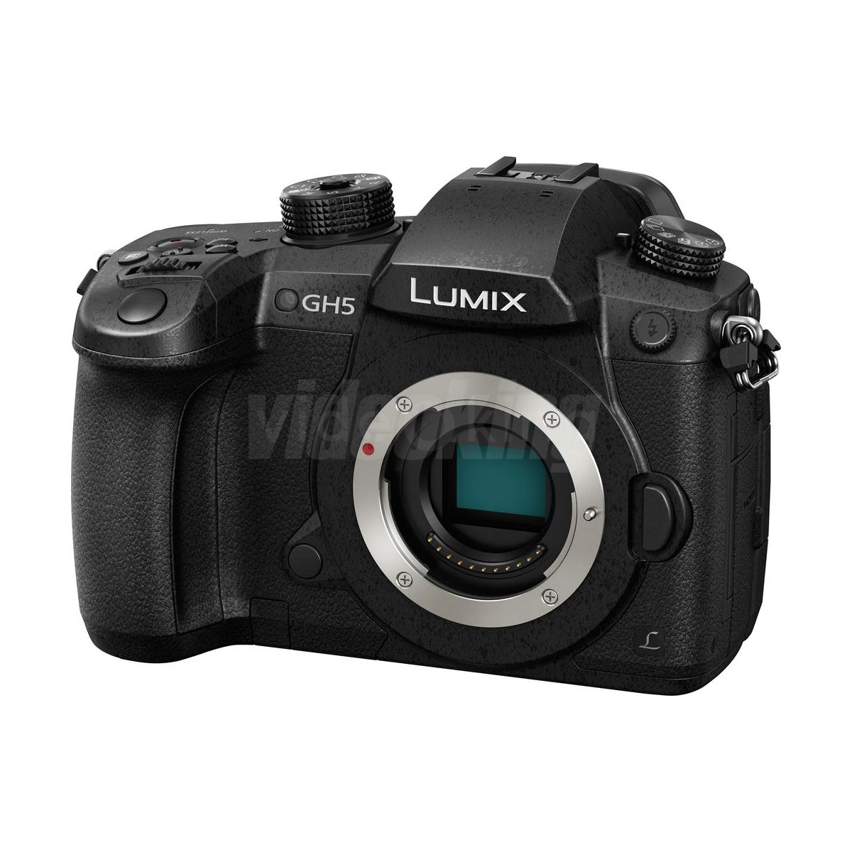 Panasonic GH5