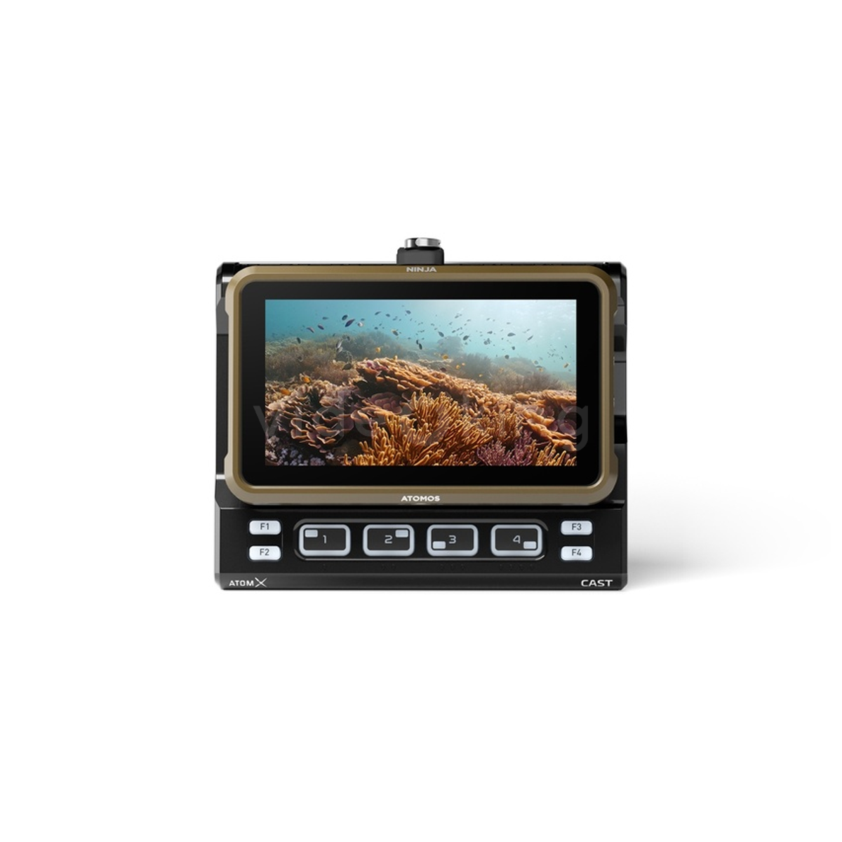 Atomos Ninja_7
