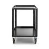 CONECARTS LARGE CART – BASIC – 2 shelves_2